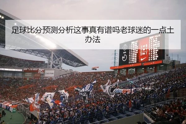 zu-qiu-bi-fen-yu-ce-fen-xi-zhe-shi-zhen-you-pu-ma-lao-qiu-mi-de-yi-dian-tu-ban-fa-2-197.jpg
