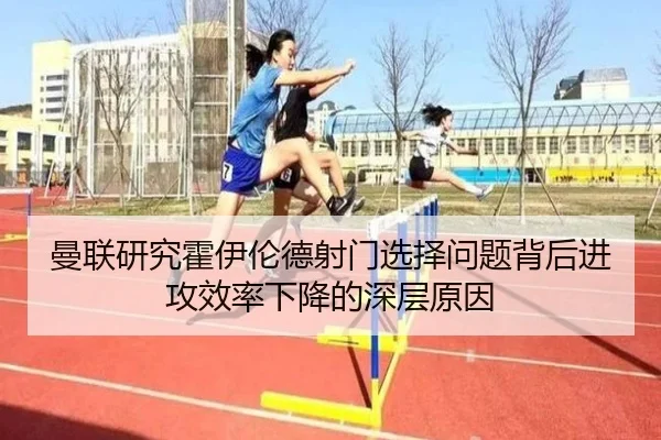 img_1782582455843_143_1_500.jpg